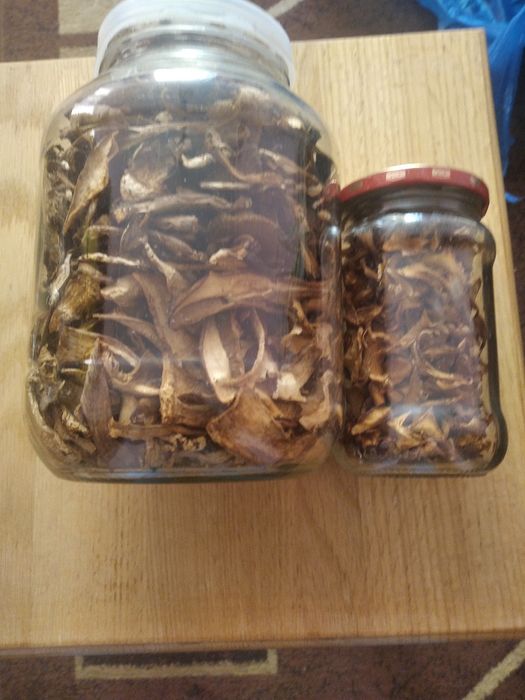 Продажа сушених білих грибів та лисичок.