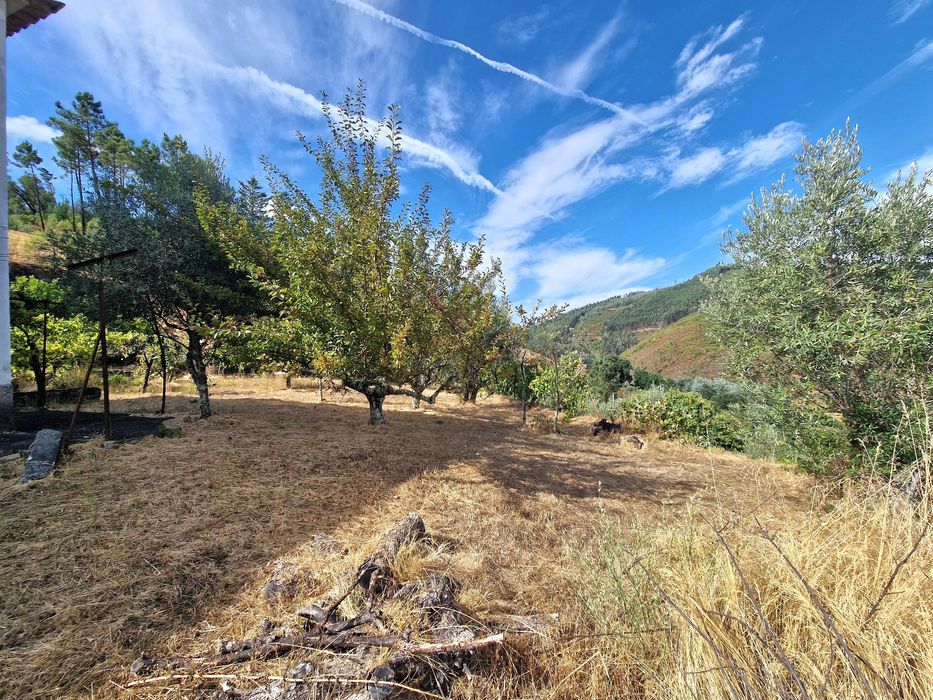 Moradia T6 - Pessegueiro