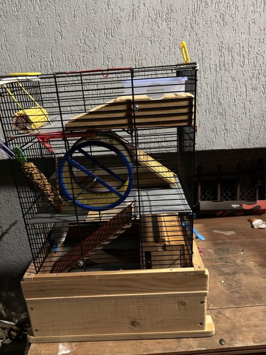 Rozbudowana i dobrze wyposazona klatka dla gryzoni