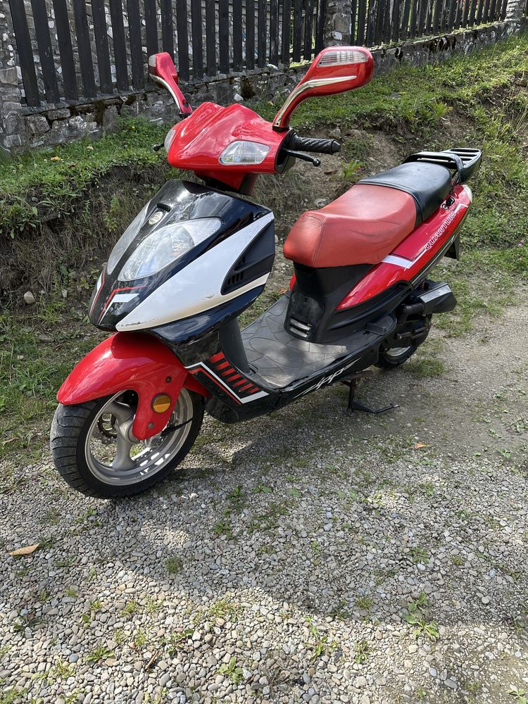 Skuter Zipp Quantum 50