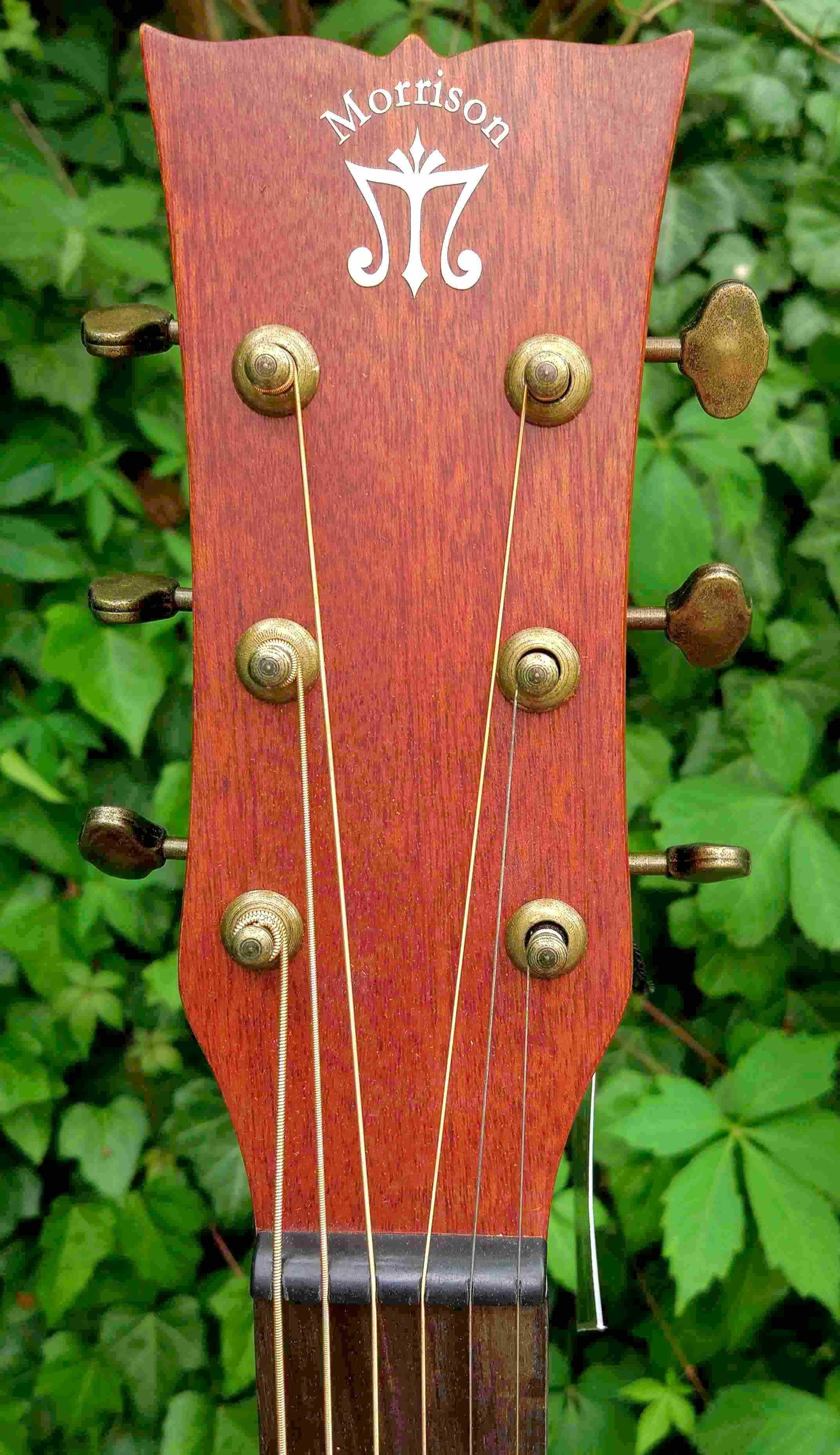 Nowa gitara akustyczna Morrison Barcelona Jumbo