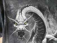t-shit smok dragon fantasy jedyny taki