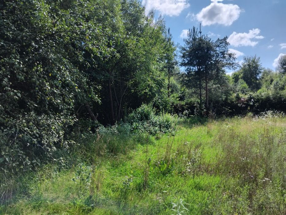 Продаю земельну ділянку Свалява Закарпатської