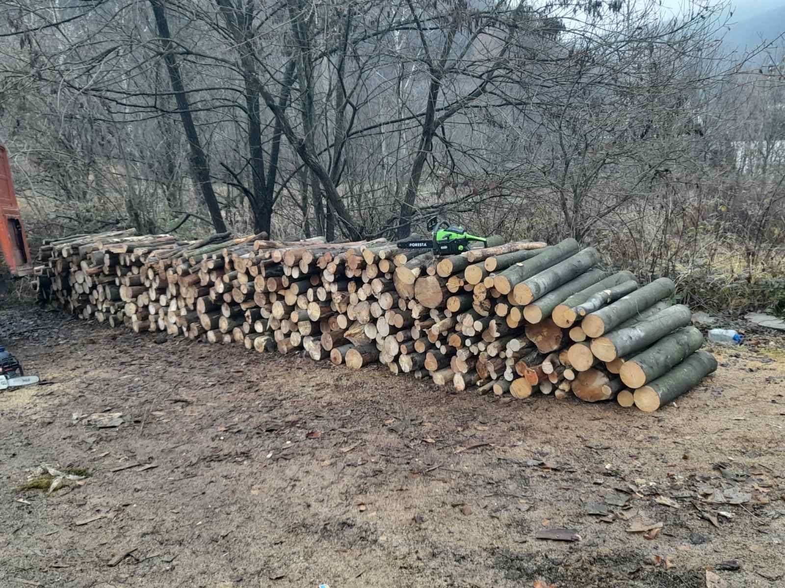 дрова  букові і є (колоті і колоті різних порід
