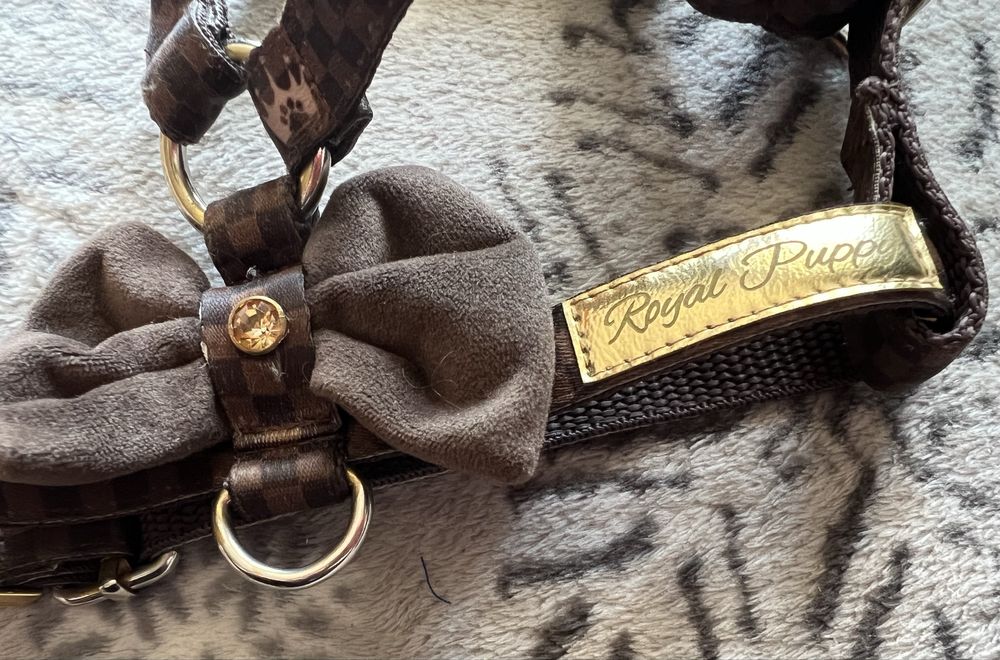 Luksusowe szelki guard dla psa Royal Puppy XS brązowe kolekcja Kylie