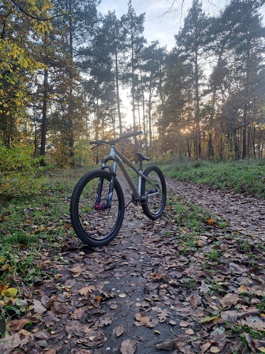 Dartmoor gamer 2022 dirt