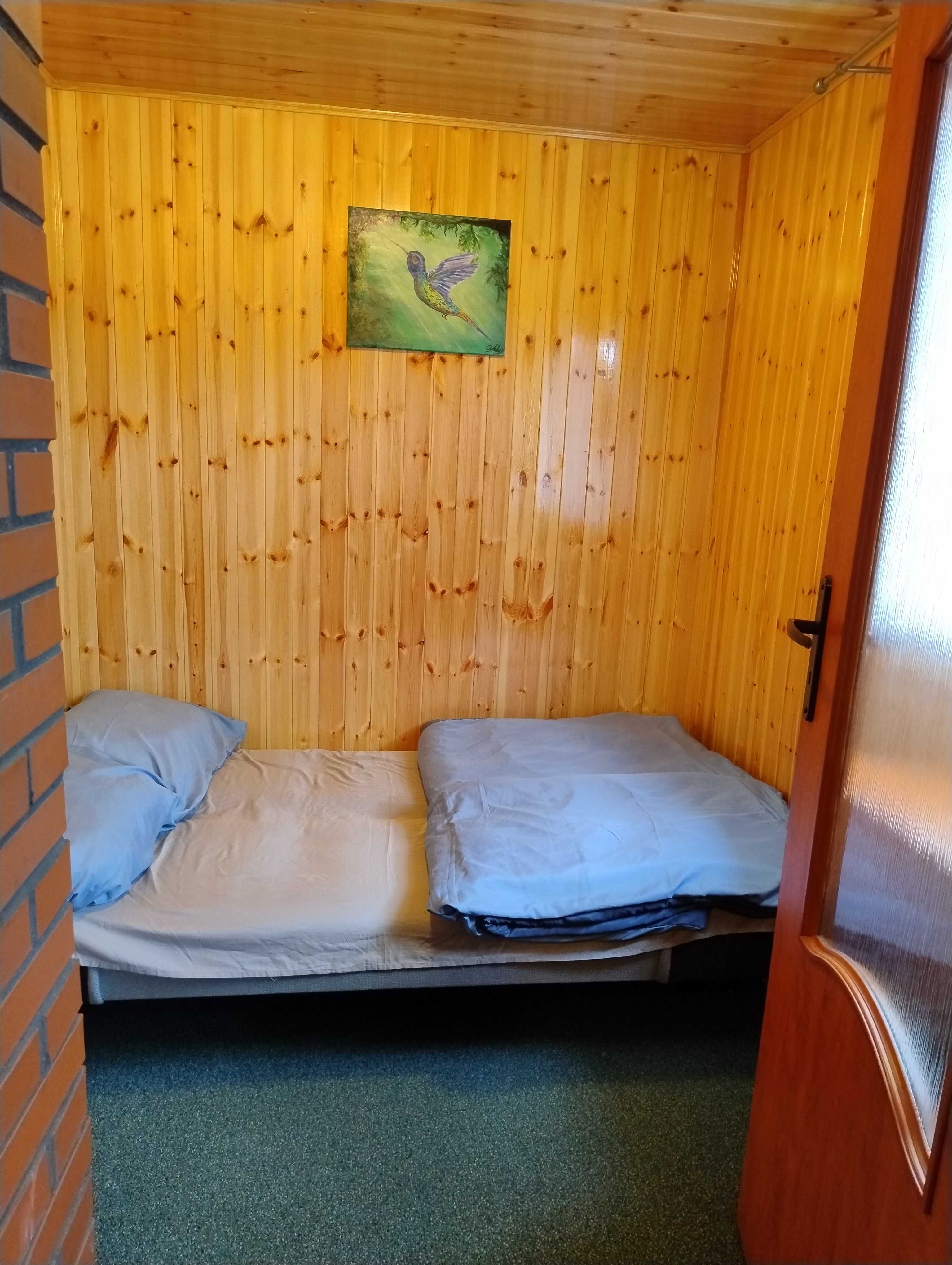 Domek nad jeziorem- Mazury- Linia Brzegowa, Prywatny Pomost