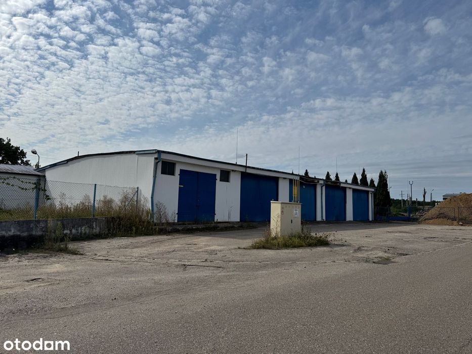 Hala/Magazyn na wynajem