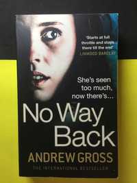 Andrew Gross - No way back