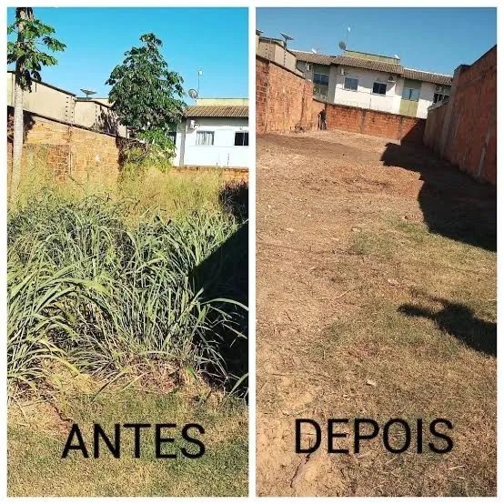 Limpeza de terrenos