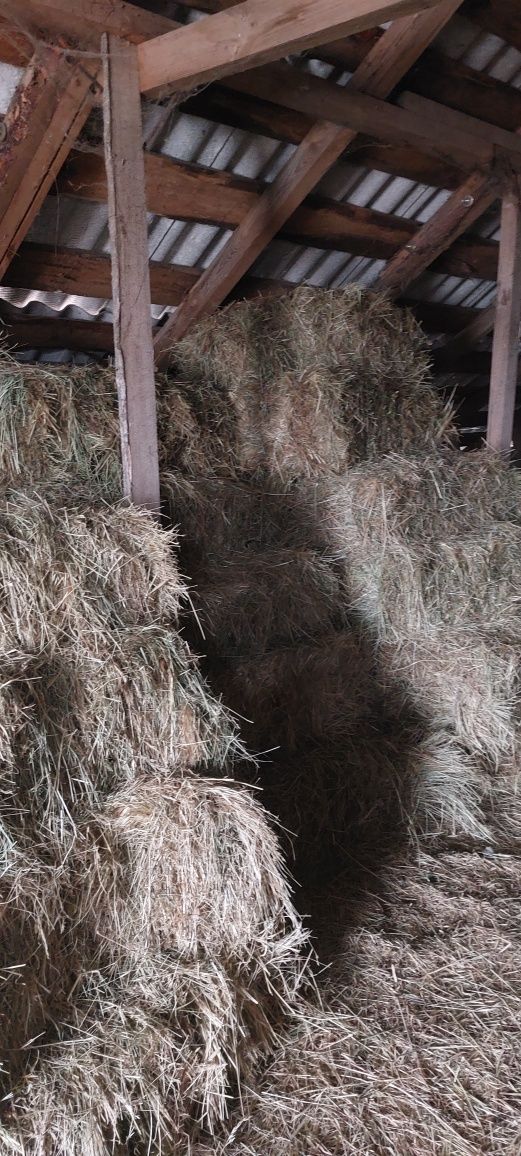 Продам хорошое сено