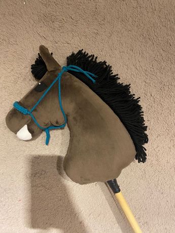 Hobby horse gniady