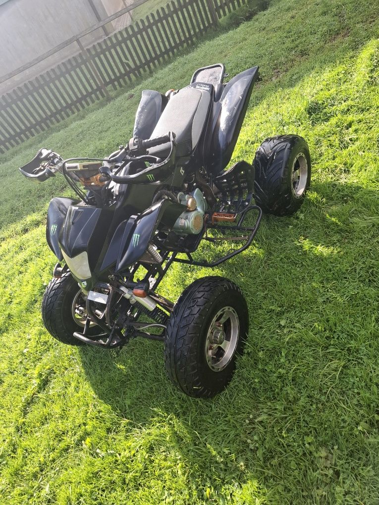 Quad Bashan 250 +przyczepka i pług