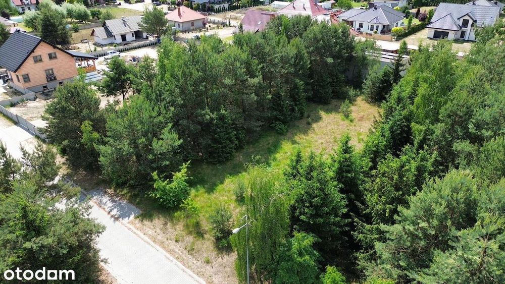 Działka 1000 m² z drzewa­mi, media w drodze – Bucz, ul. Słoneczna