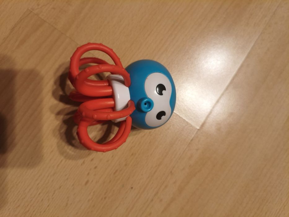 Gryzak   bam bam