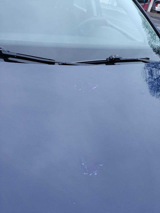 WV Passat B6 1.9 TDI 2007r.