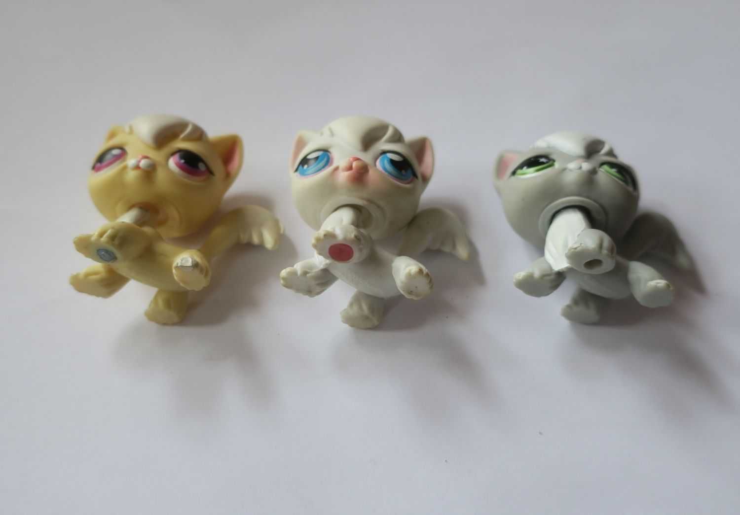 Kot littlest pet shop kotek