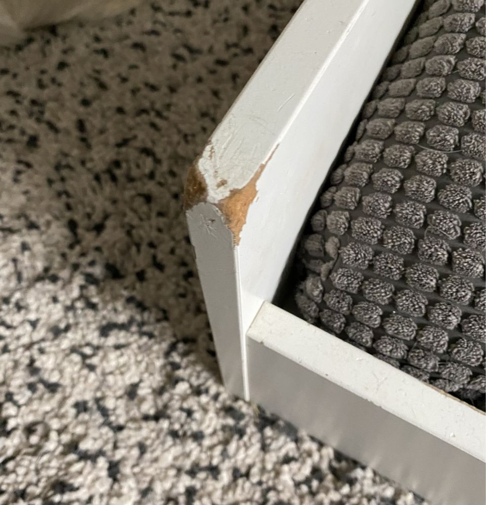 Cama com almofada ikea para cão de porte médio