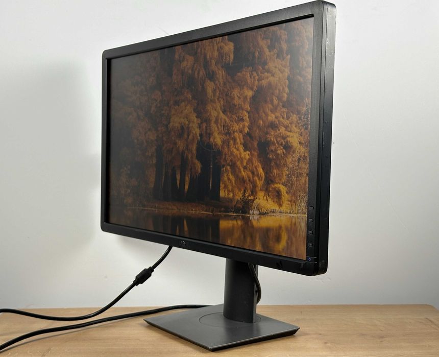 Idealny do biura Monitor Dell P2412H 24” LED Full HD