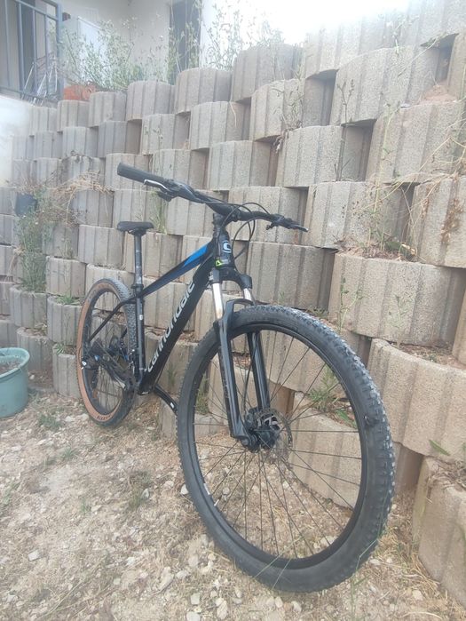 Cannondale Trail 7