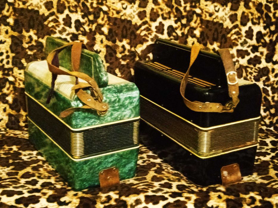 Баян "Украина" зелёный