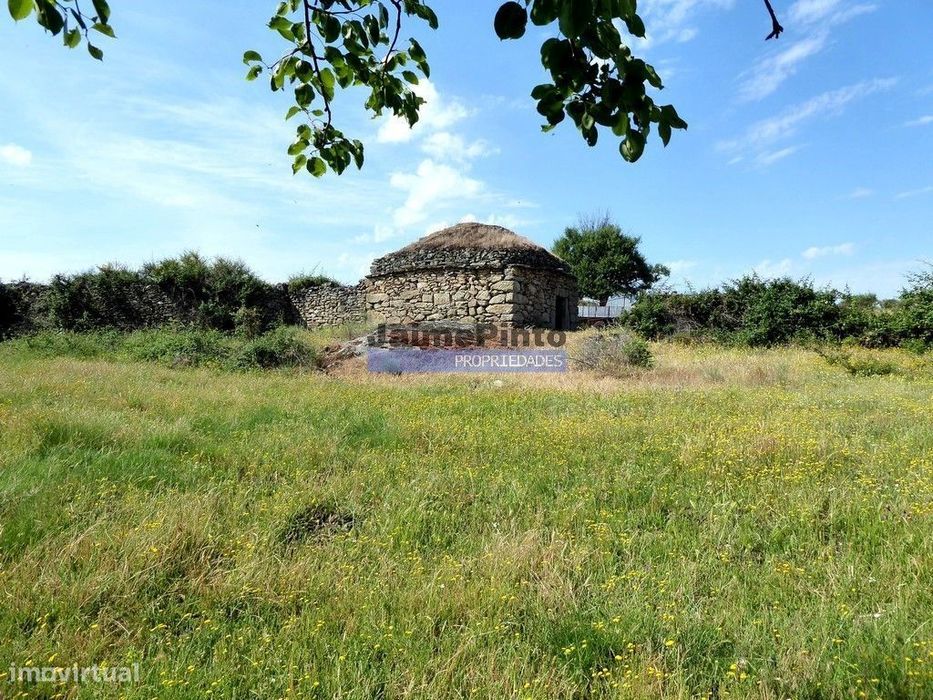 250 000 m2 agrícolas e casas em ruínas. Portugal, F. C. Rodrigo