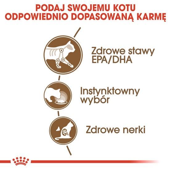 Karma w galaretce dla starszych kotów od 12 roku życia Royal Canin 85g