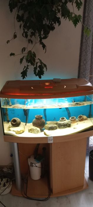 Akwarium profilowe 112l