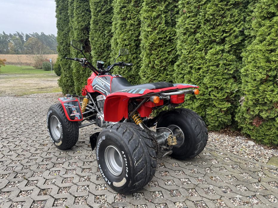 SMC Honda/Barossa 250 Homologacja kat. B L7E dwa cylindry