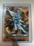 Carta Haaland Stadium Chrome