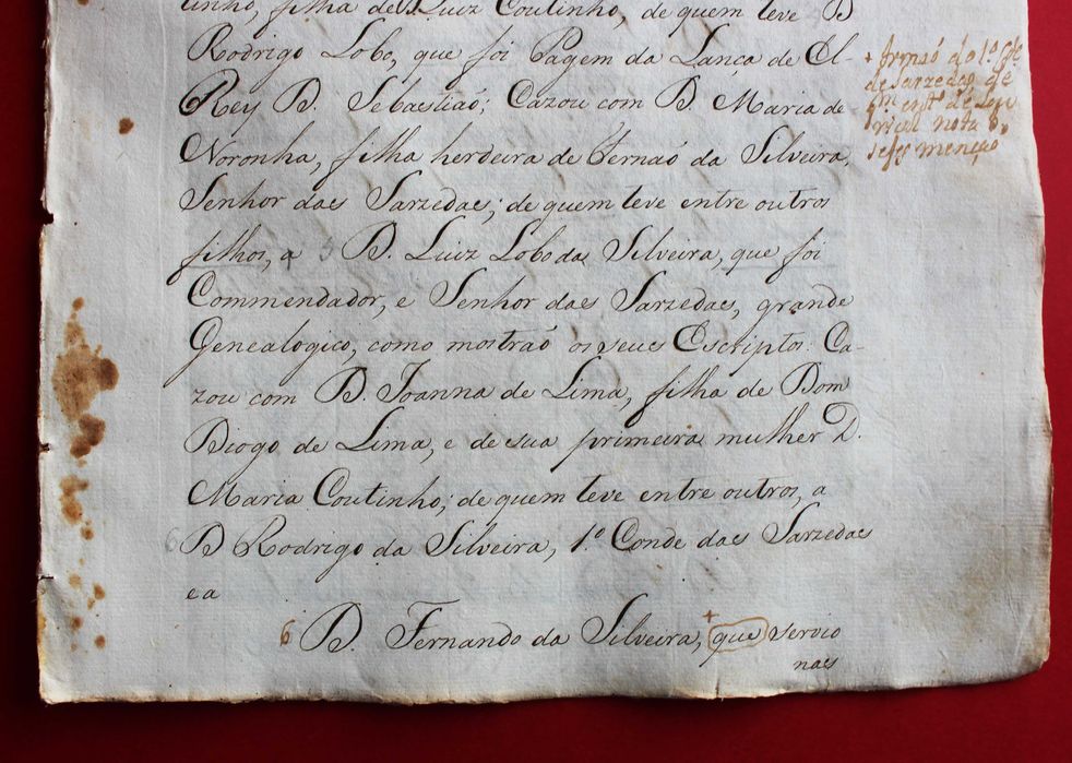 Senhores da Vila de São Cosmado Lamego apelido Silveira séc XVIII