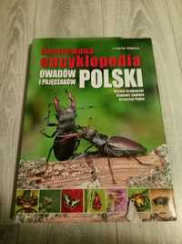 Ilustrowana encyklopedia owadów i pajęczaków Polski