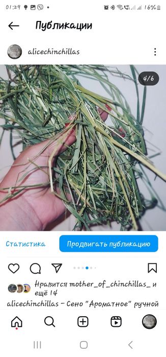 Сено для Шиншилл и других Грызунов!