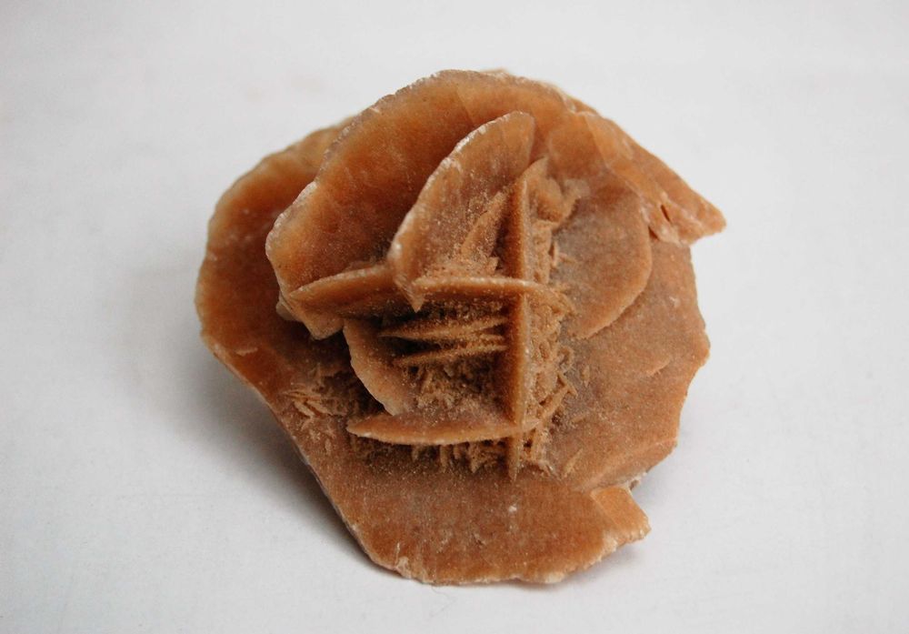 Róża pustyni, kamień, Sahara, 8,3 cm.