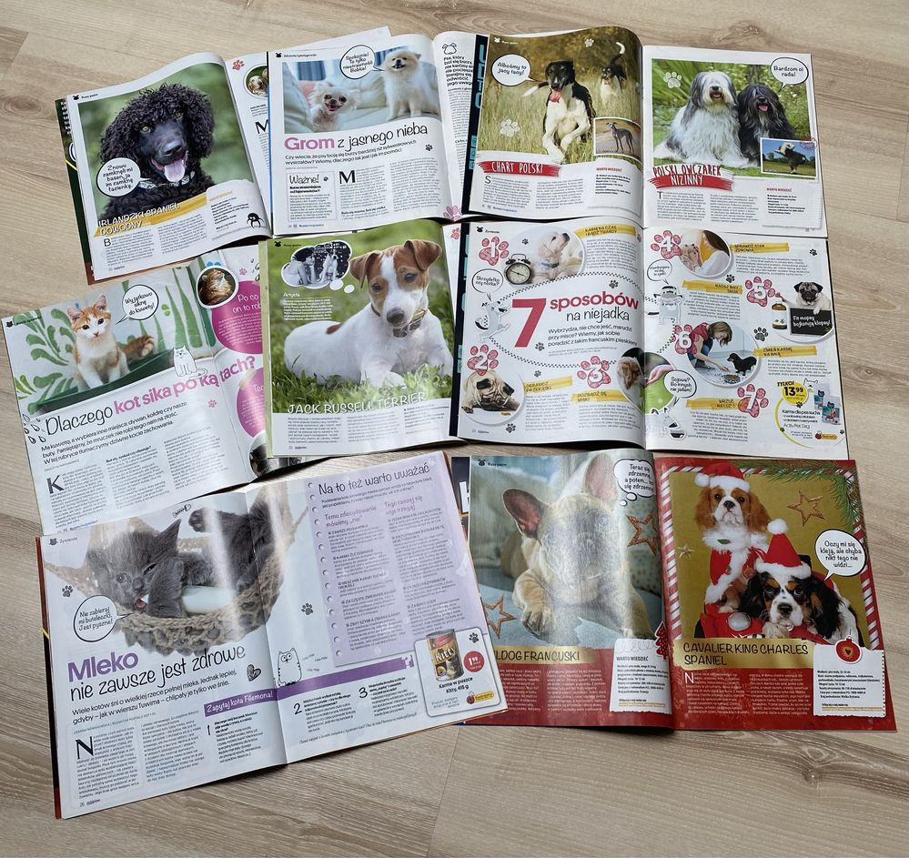 gazetki mój pies z plakatem, 50 ras psów + pimek i pets world