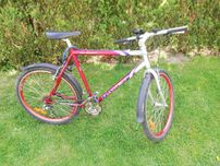 Rower Raven 26" górski - męski