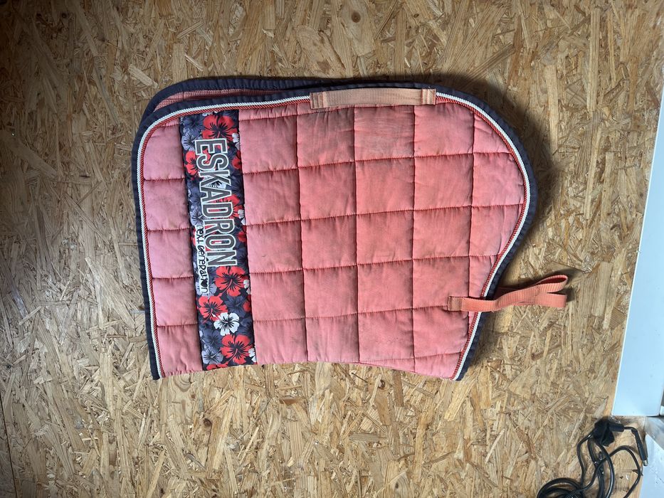 Czaprak eskadron next generation