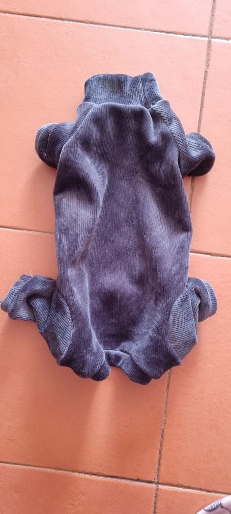 Roupa de Algodão para animal de estimação - XL - 43.5cm costas