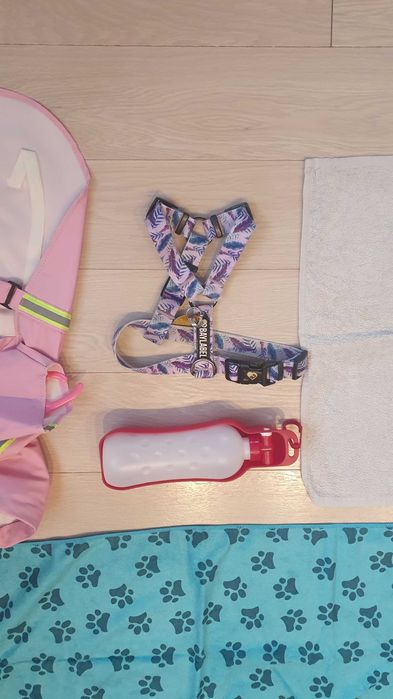 ODDAM akcesoria dla pieska wielkości shih tzu