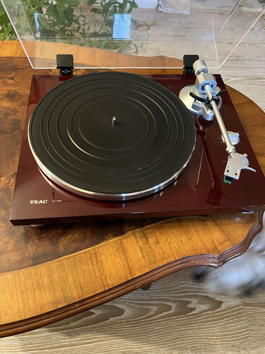 Gramofon Teac TN300 bardzo solidny