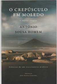 O crepúsculo em Moledo e outras elegias – António Sousa Homem