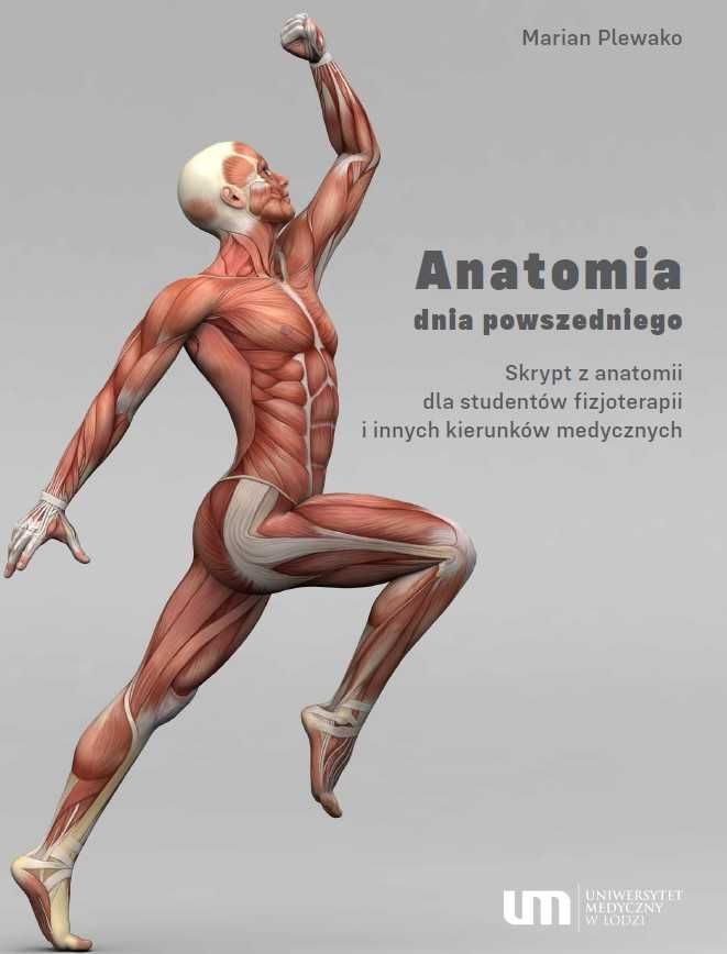Skrypt z anatomii dla studentów fizjoterapii i fizjoterapeutów