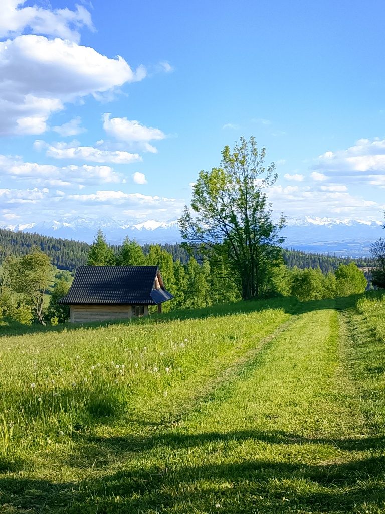 Domek w górach do wynajęcia Nowy Targ Zakopane