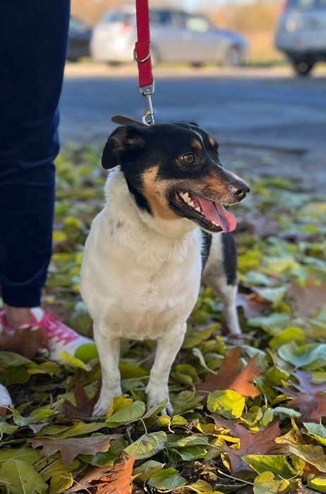 Mati szuka domku pełnego miłości