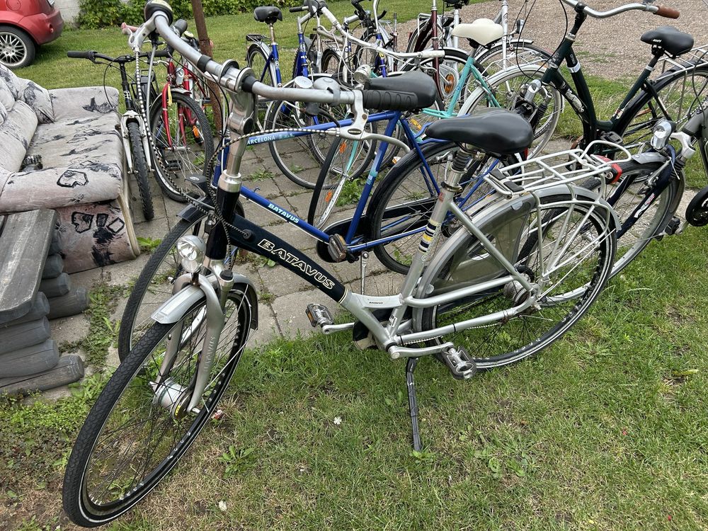 Rower gazelle, giant, batavus