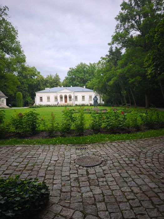 Czarnolas-Kolonia - Działka 2,5 ha na sprzedaż - Bezpośrednio