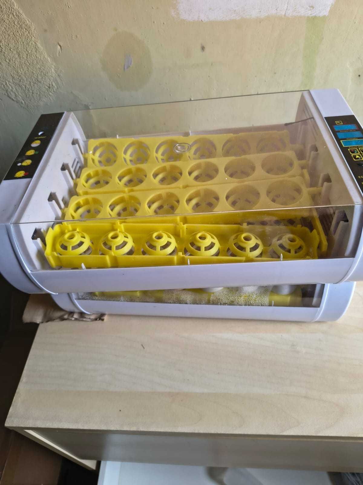 Inkubator na jajka