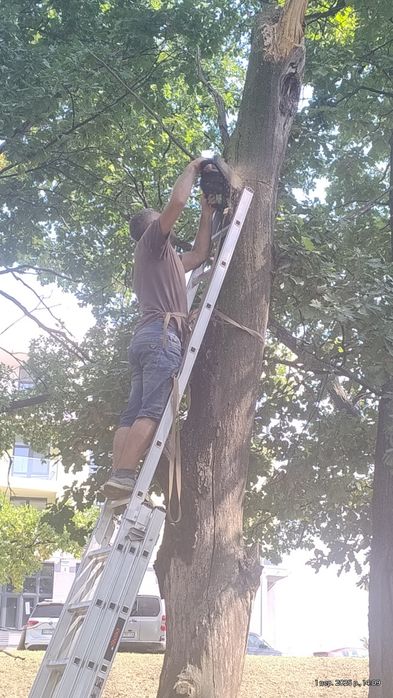 Спил дерев, підрізка аварійних сухих дерев-гілок