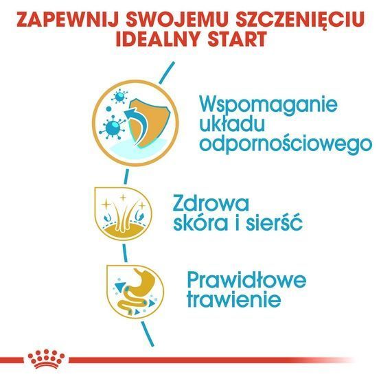 Karma sucha z witaminami dla szczeniąt rasy Shih Tzu Royal Canin 0,5kg