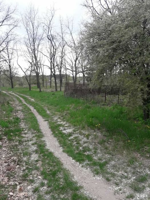 Продаж земельної ділянки 2.4 сотки в кооперативі Дружба (с. Ровжі).